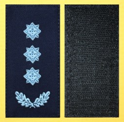 011 полковник  дснс